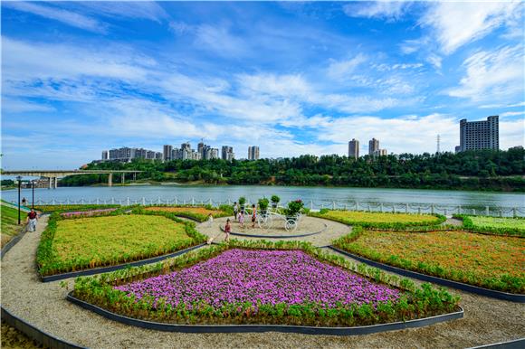 潼南:下足绣花功夫提升"城品"