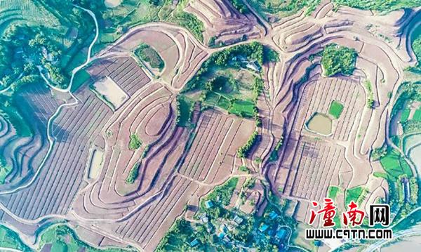 龙形镇:以实干绘就乡村振兴壮美画卷以实干绘就-镇街-潼南网