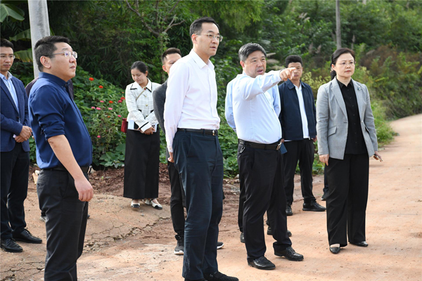 周德勋到双江镇调研红色美丽村庄建设工作-时政-潼南网